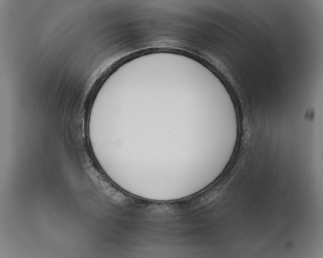 X0000111150931200907211159