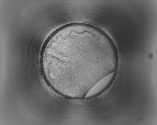 X0000111150932200907211159