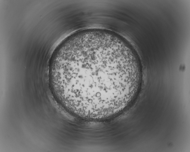 X0000111150933200907211159
