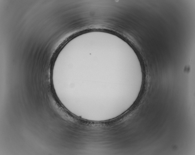 X0000111150934200907211159