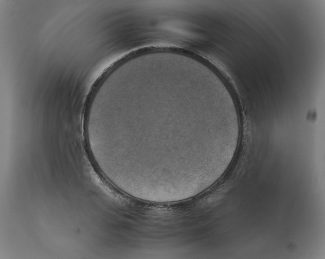 X0000111150935200907211159