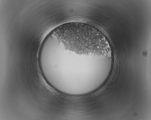 X0000111150936200907211159