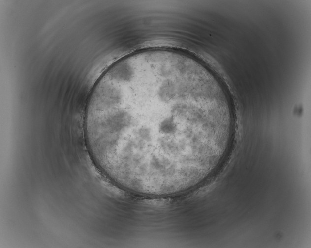X0000111150937200907211159