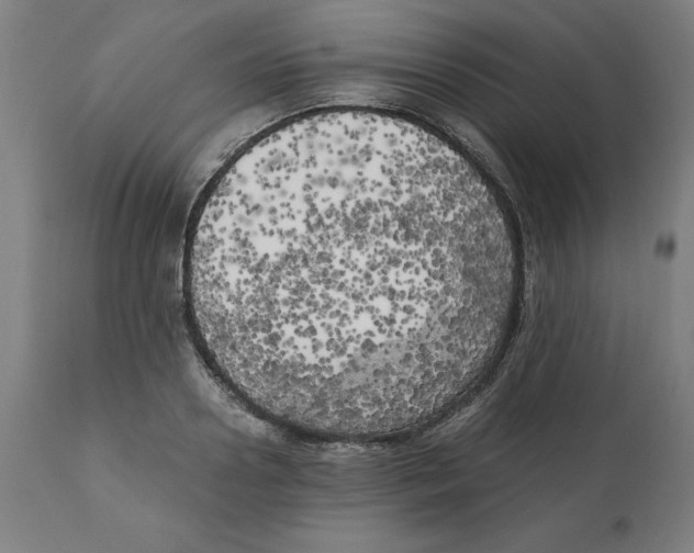 X0000111150938200907211159