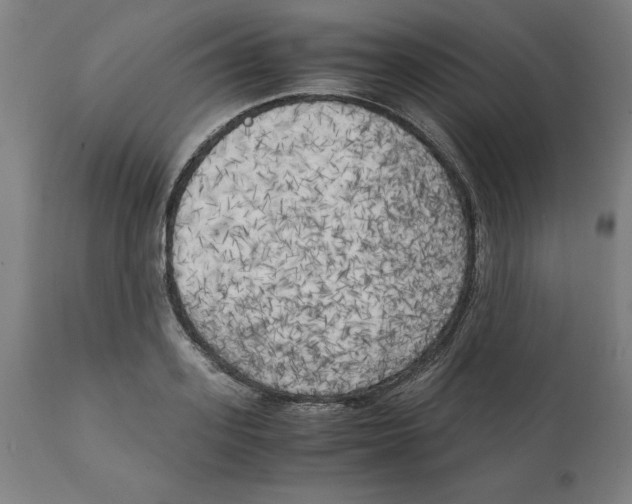 X0000111150939200907211159