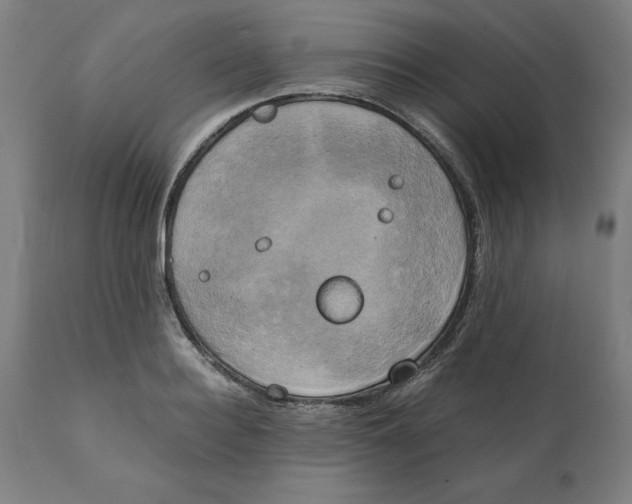 X0000111150940200907211159
