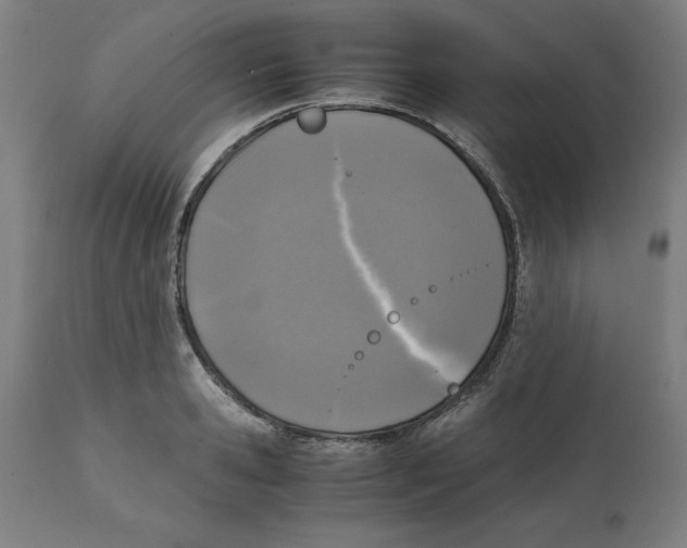 X0000111150941200907211159