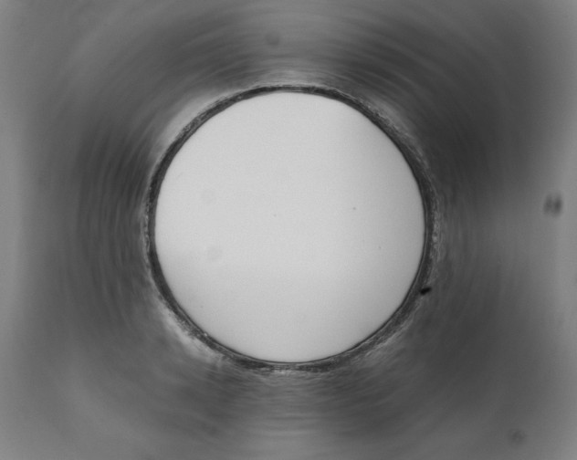 X0000111150942200907211159