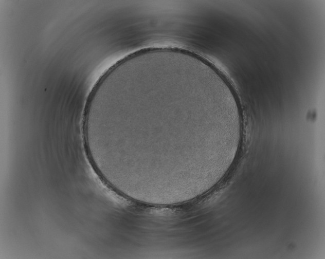 X0000111150943200907211159