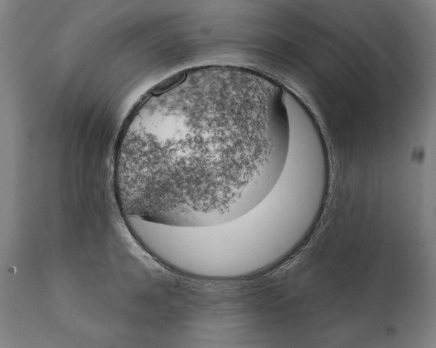 X0000111150944200907211159