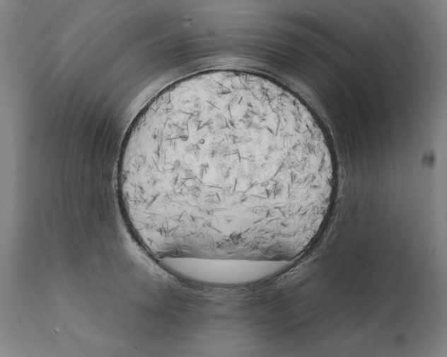 X0000111150946200907211159