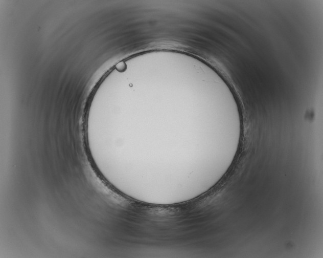 X0000111150947200907211159