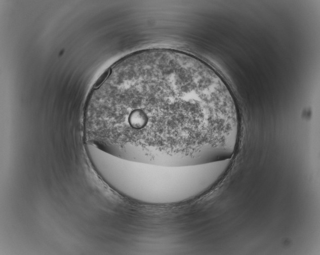 X0000111150948200907211159