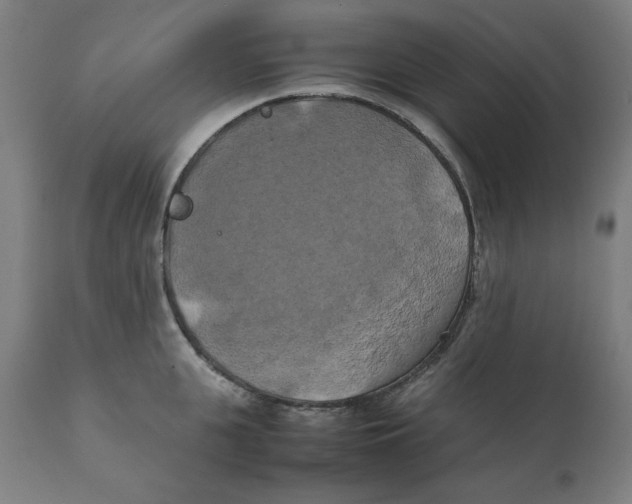 X0000111150951200907211159