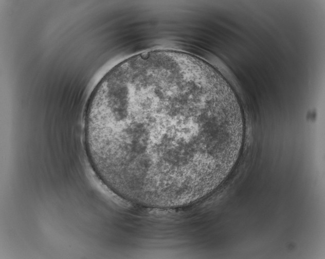 X0000111150955200907211200