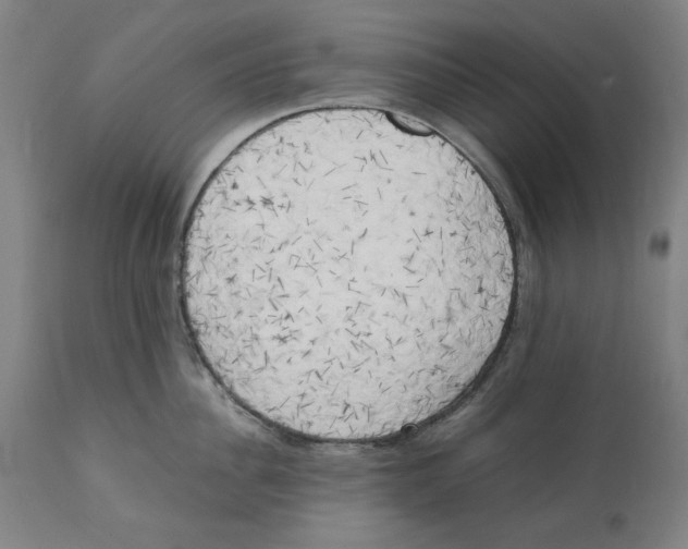X0000111150956200907211200