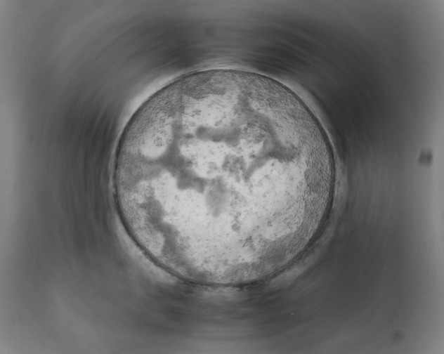 X0000111150957200907211200