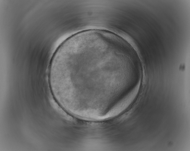 X0000111150958200907211200