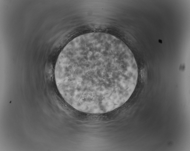 X0000111150963200907211159