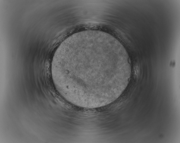 X0000111150964200907211159