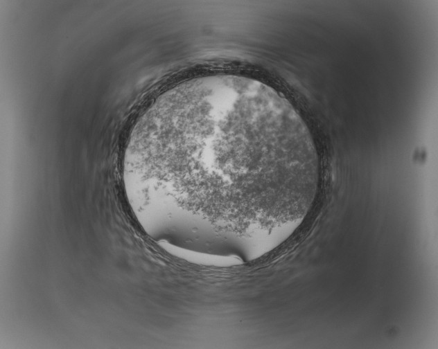 X0000111150965200907211159