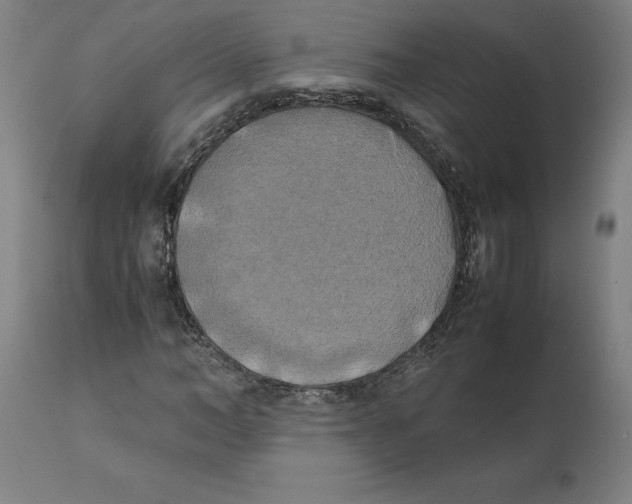 X0000111150966200907211159