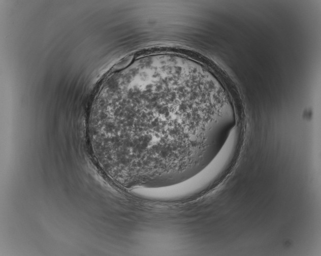 X0000111150969200907211159