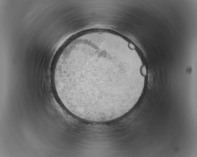 X0000111150972200907211159