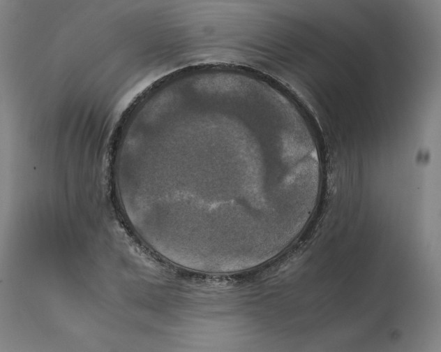 X0000111150975200907211159