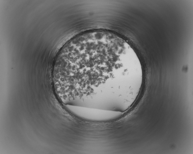 X0000111150977200907211159