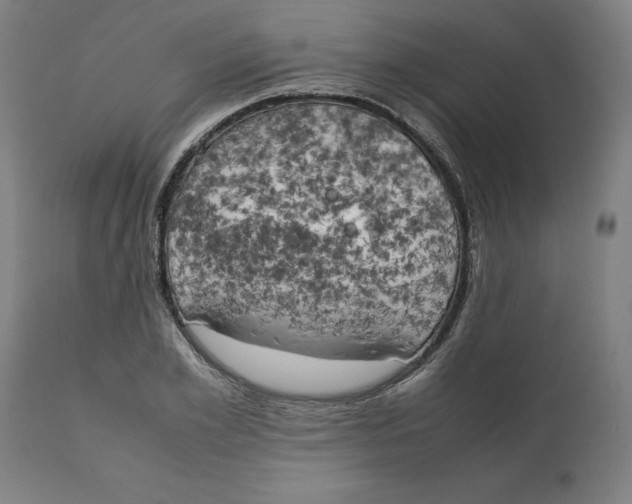X0000111150981200907211159