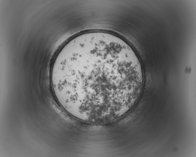 X0000111150982200907211159