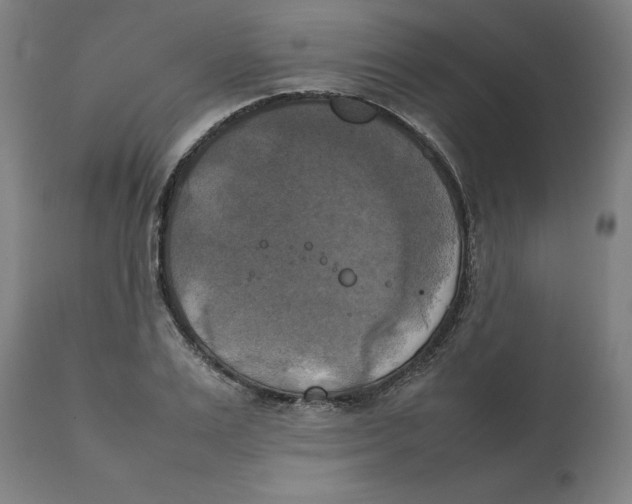 X0000111150983200907211159