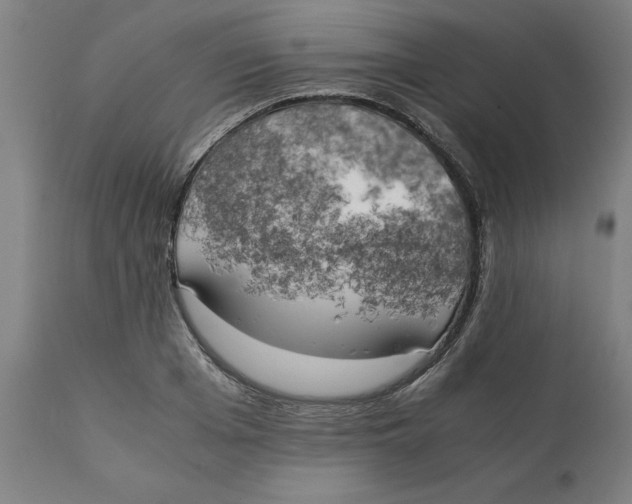 X0000111150985200907211159