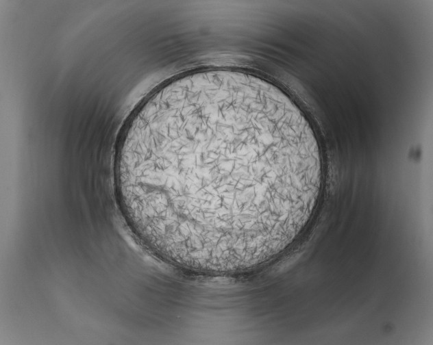 X0000111150986200907211159