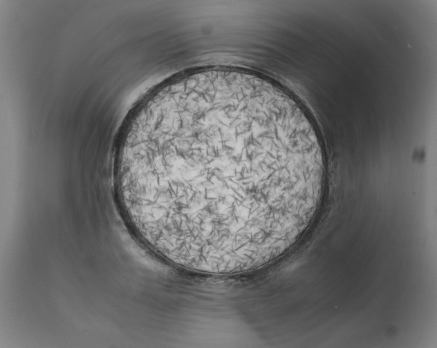 X0000111150987200907211159