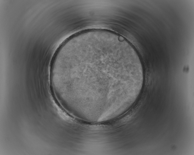X0000111150988200907211159