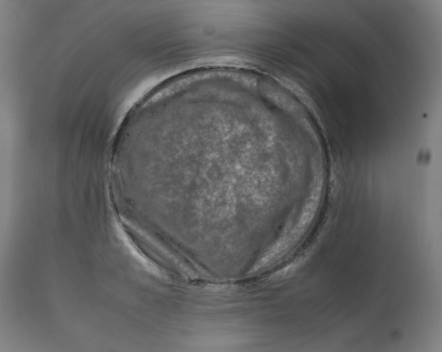 X0000111150989200907211159