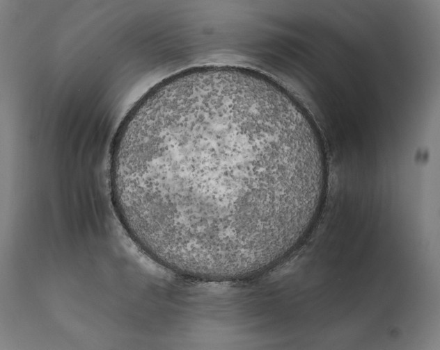 X0000111150990200907211159