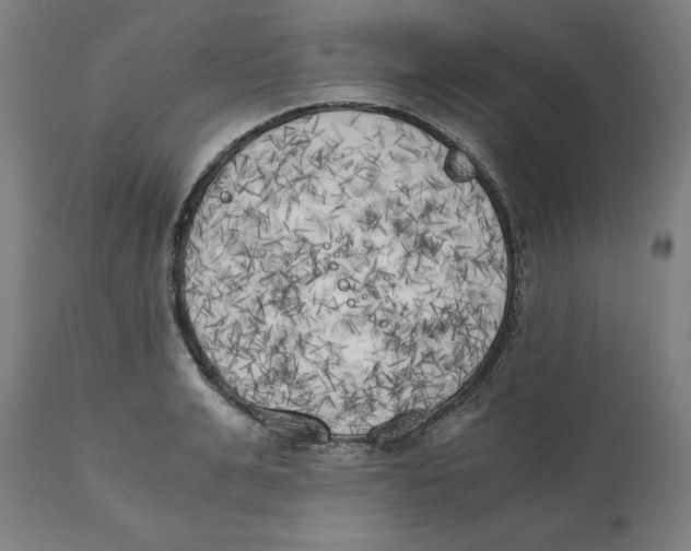 X0000111150991200907211159
