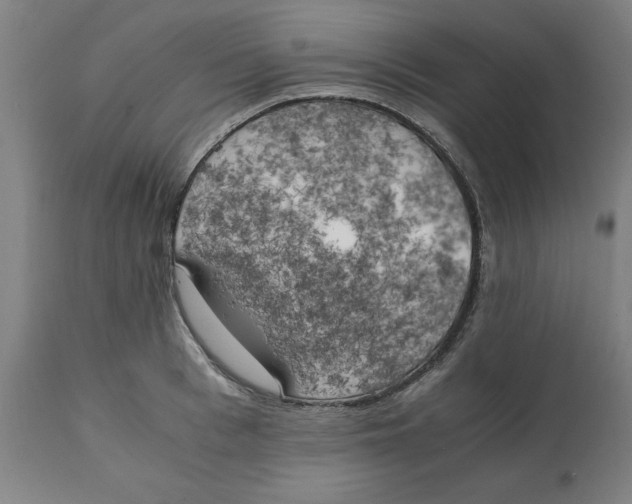 X0000111150993200907211158