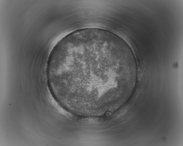 X0000111150995200907211158