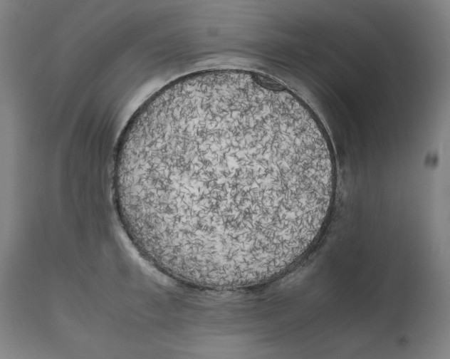 X0000111150997200907211158