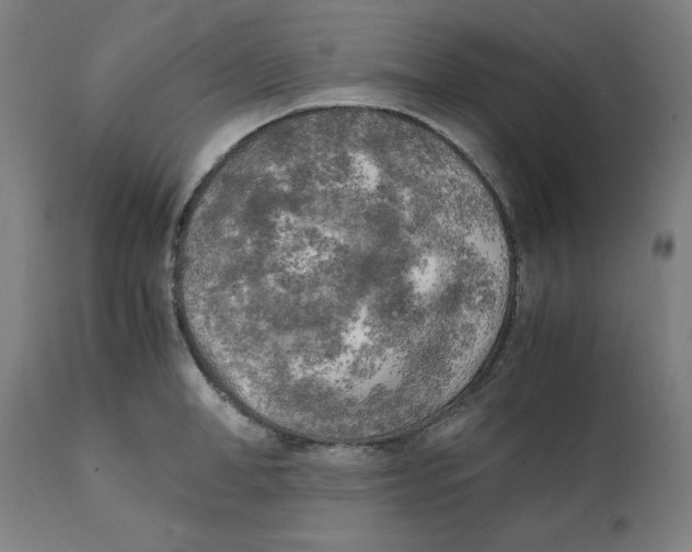 X0000111150998200907211158
