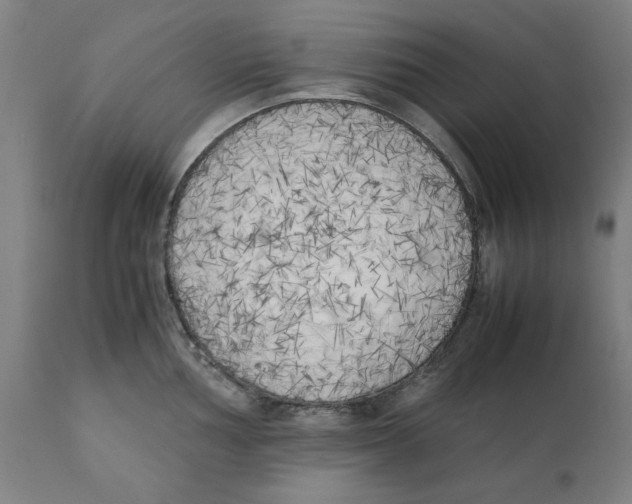 X0000111151002200907211158