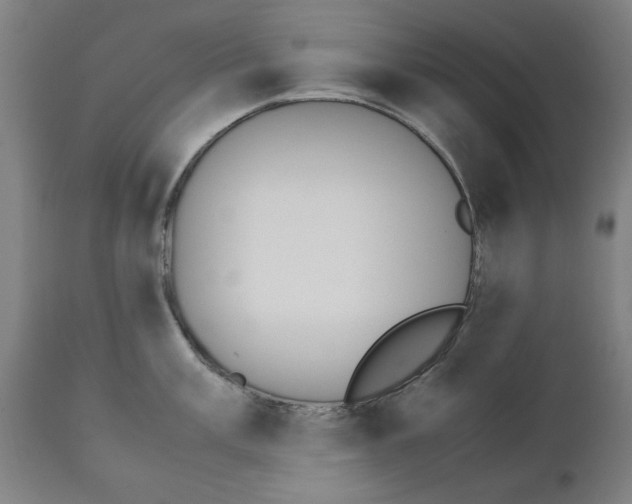 X0000111151003200907211158