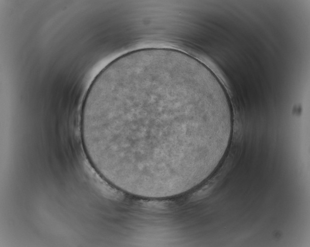 X0000111151004200907211158