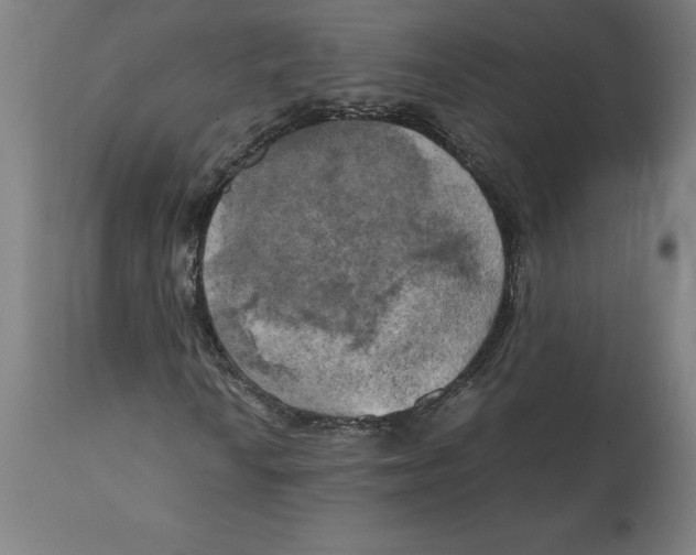 X0000111151010200907211158