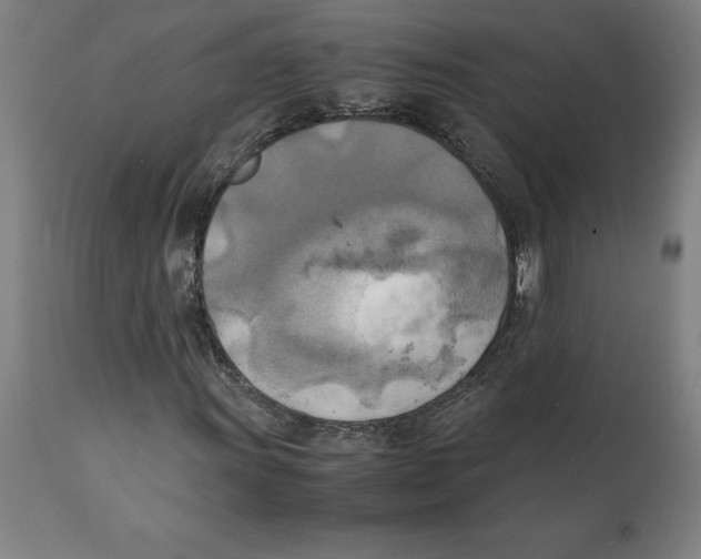 X0000111151011200907211158