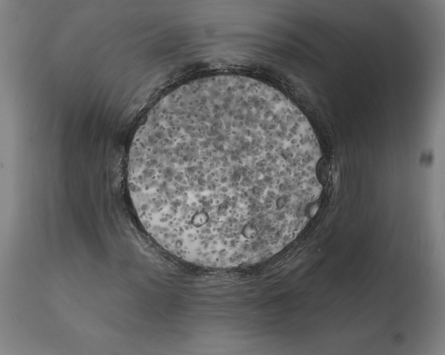 X0000111151012200907211158